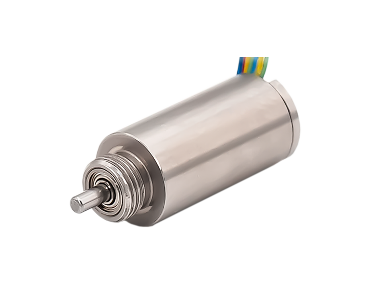 CB08 Series Slotless Brushless DC Motor